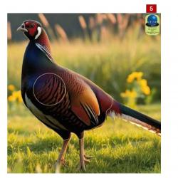 Blasons petits animaux 1 - Ai2M - 5