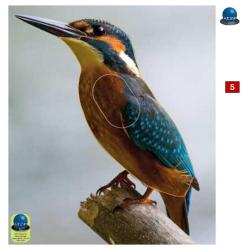 Blasons petits animaux 2 - Ai2M - 5