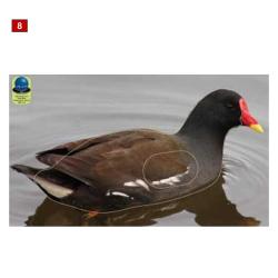 Blasons petits animaux 2 - Ai2M - 8