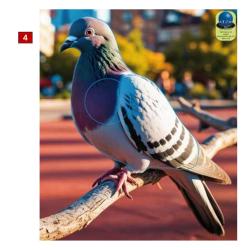 Blasons petits animaux 3 - Ai2M - 4