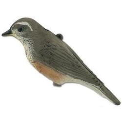 Appelant grive Stepland - Grive mauvis