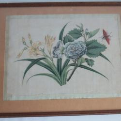 Peinture sur papier de riz Fleurs Insecte Chine