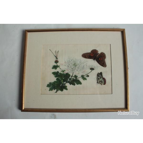 Peinture sur papier de riz Chrysanthme Papillons Libellule Chine