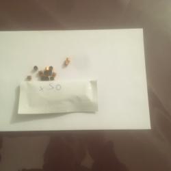 Amorces 1075 , lot de 50