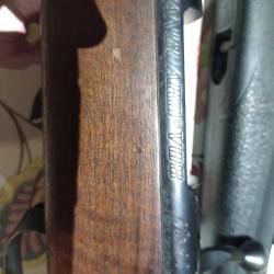 Carabine verrou weatherby 243win