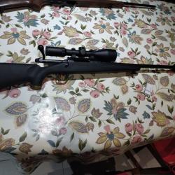 Carabine a verrou 308win