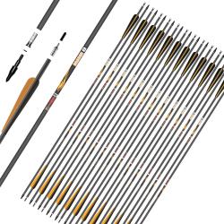 Flèche Sanlida Dragon 8 carbone 6.2 (0.006) 300 32"