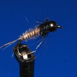 5 nymphe quill de paon, bille tungstène T 16