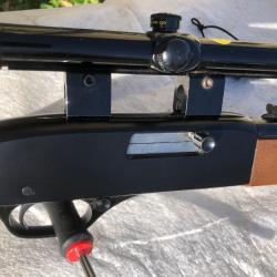 WINCHESTER 190 22LR Semi-auto (Cat B) + lunette Bushnell 3x-7x Custom 22 BDC