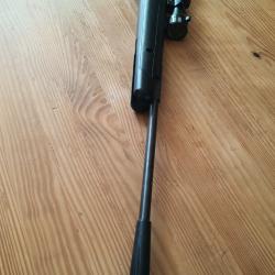 Carabine 4.5 Crosman Fury NP