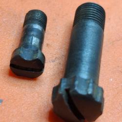 DIANA - 25 - Pièce- Vis