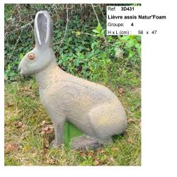 Blasons 3D - Ai2M - 431