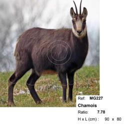 Blasons moyen gibier - Ai2M - 227