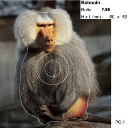 Blasons petit gibier - Ai2M - 1