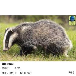 Blasons petit gibier - Ai2M - 2