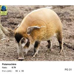 Blasons petit gibier - Ai2M - 31