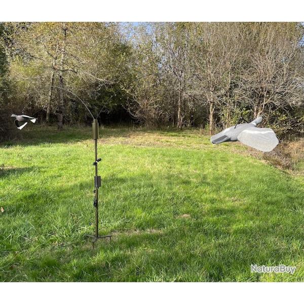 Mange  corvids / pigeons lectrique