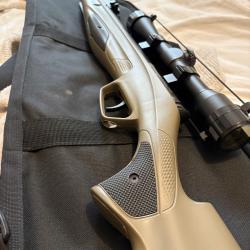 Carabine à plomb stoeger airguns RX20