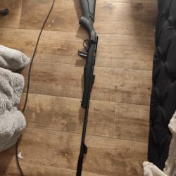 Carabine 22 LR  Rossi avec chargeur et silencieux