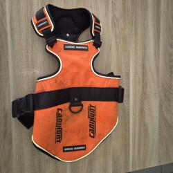 Harnais Canihunt Signal