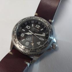 Citizen Promaster GMT World time Eco-drive