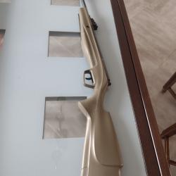 Carabine à air comprimé STOEGER RX5 vert 10J