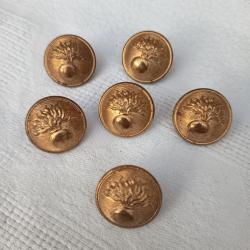 6 boutons militaires Gendarmerie pour manteau caban diamètre 25 mm