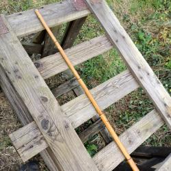 Canne Fusil incomplète