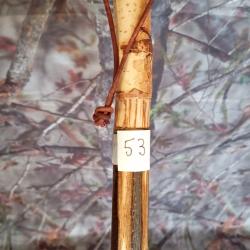 canne de pirsch (53)