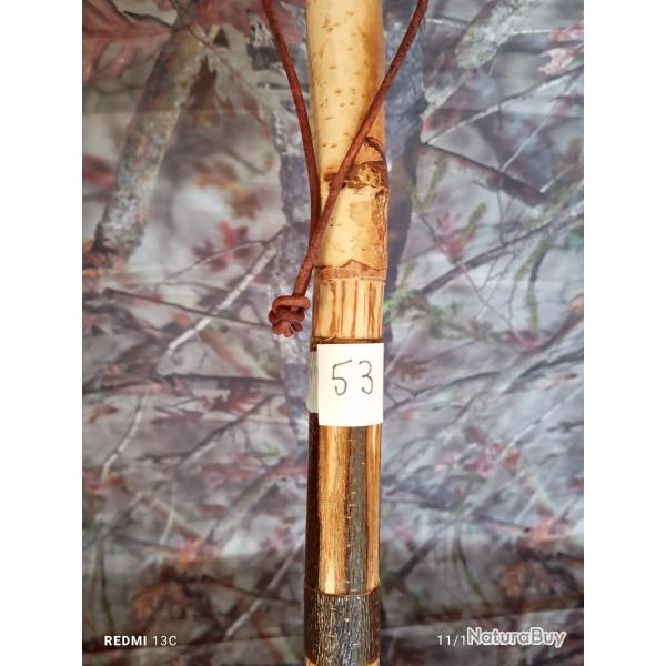 canne de pirsch (53)