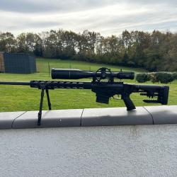 Carabine TLD ruger  cal 308