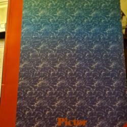 Pictor international volume 7 1 42 46 12 05