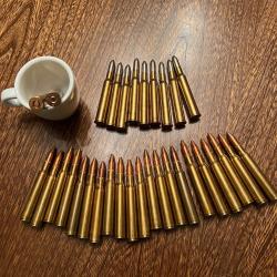 Lot de cartouches RWS 7x65R