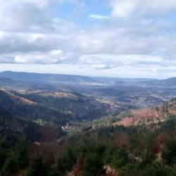 CHASSE EN MOSELLE / ALSACE