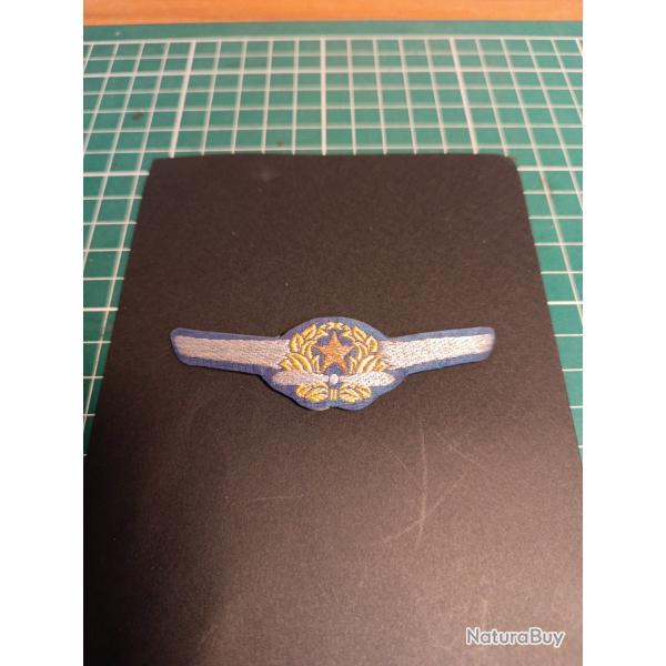 IJA Militaria Japon Insigne Brevet De Pilote Original