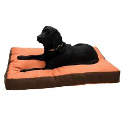 Black Friday ! Coussin chien Hunter 55 x 40 x 12 cm.
