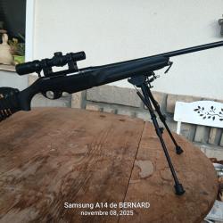 Benelli 300wm équipée