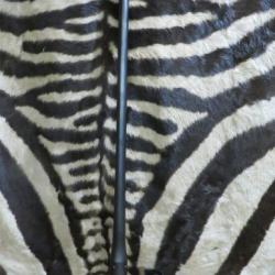 Canon BLASER R8 cal.30-06 58cm fileté - chargeur