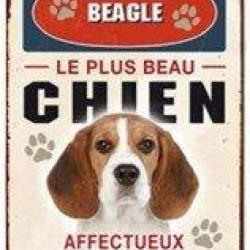 Plaque m&eacute;tal chien Beagle LOVERGREEN