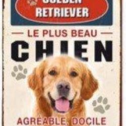 Plaque m&eacute;tal chien Golden Retriever LOVERGREEN