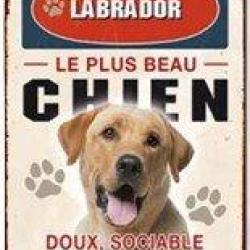 Plaque m&eacute;tal chien Labrador LOVERGREEN