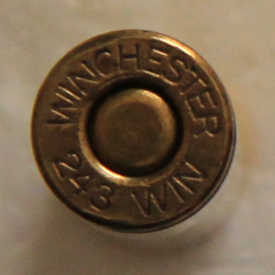 243 Winchester