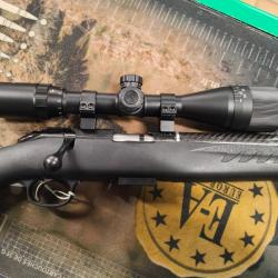 carabine ruger silence cal 22lr