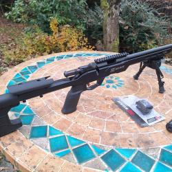 Savage B22 précision