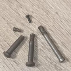 Ensemble de vis  pour Vetterli-Vitali 1870/87/15