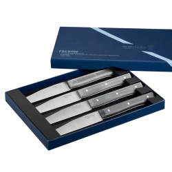 Coffret 4 couteaux de table Opinel Facette Ardoise micro-dente