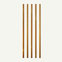 Tube nu pour flèche Bearpaw Penthalon Slim Line Bamboo 4.2mm (par 12) - 500