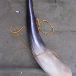 corne d'appel "Saint Claude"