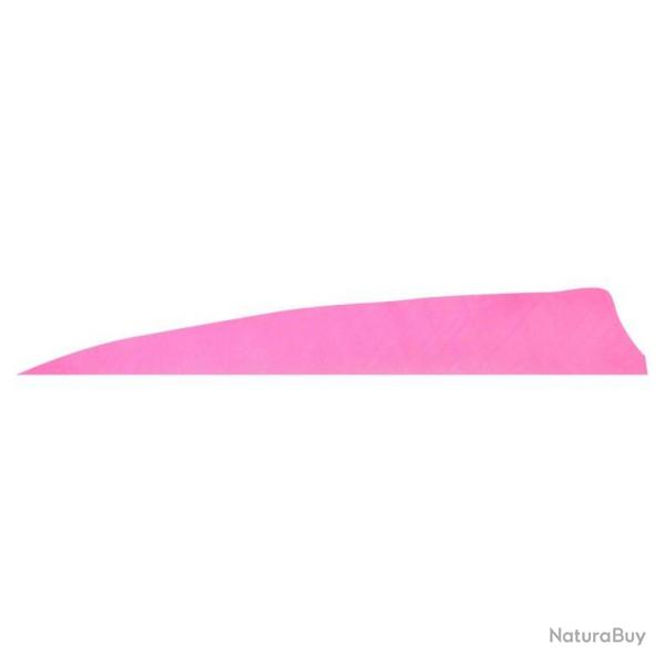 GATEWAY - Plumes naturelles Shield 4" RH Unies BLANC