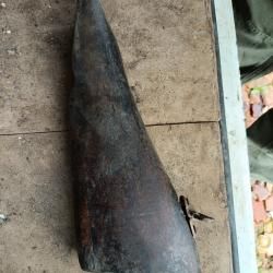 Crosse courte. Renseignements utiles